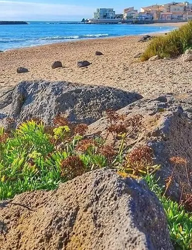 아파트 Nath Home T2 Le Cap Centre Port